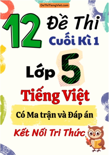 Bộ 12 Đề thi cuối kì 1 Lớp 5 môn Tiếng Việt có Ma trận và Đáp án (Kết nối tri thức)